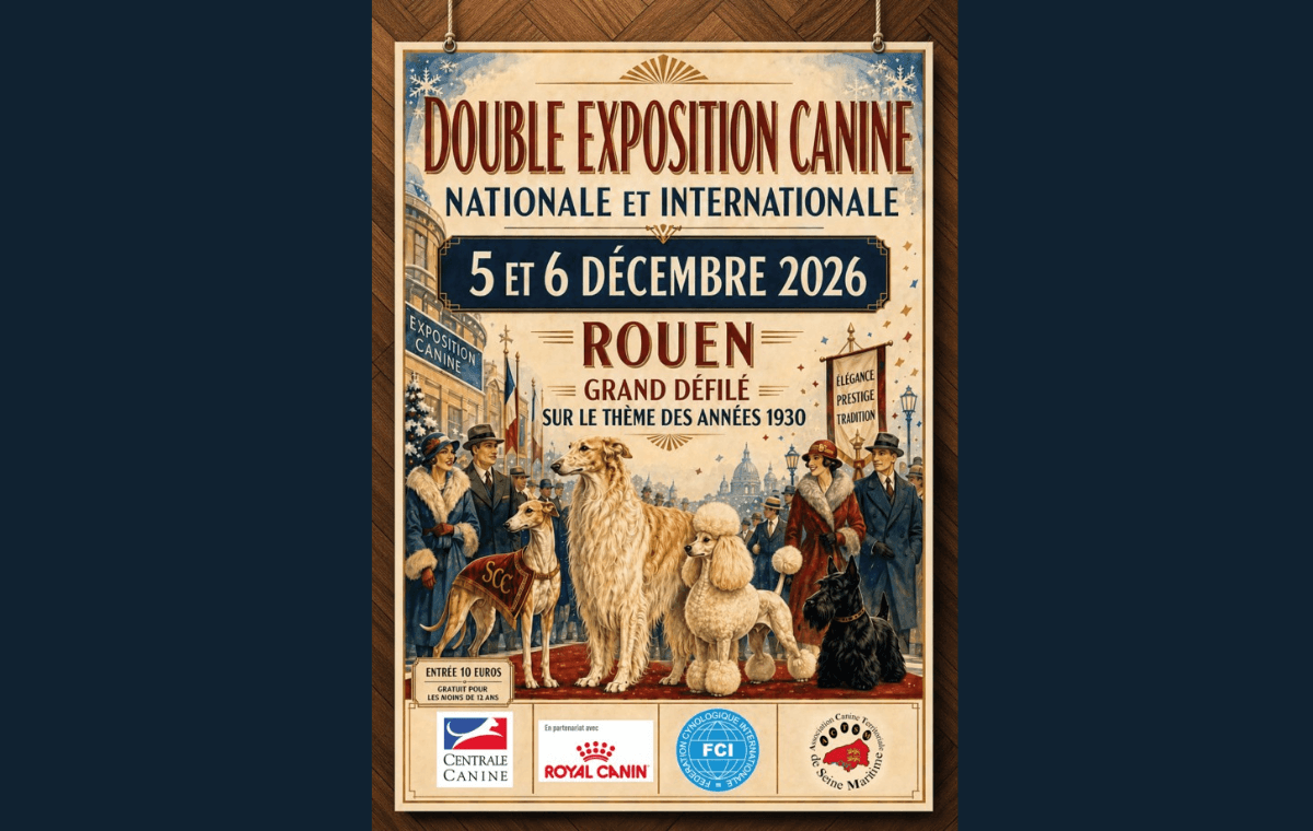 Exposition canine